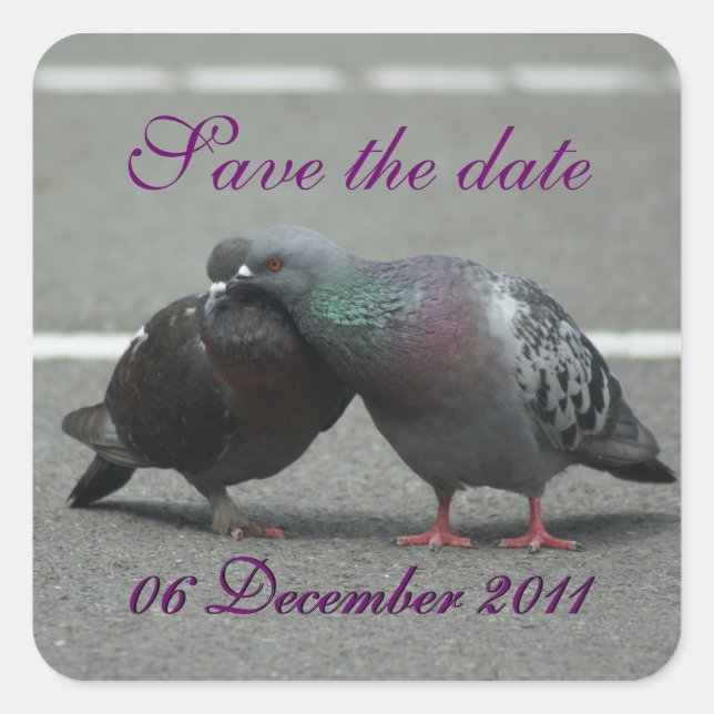 Save the Date mit Tauben Quadratischer Aufkleber (Vorderseite)