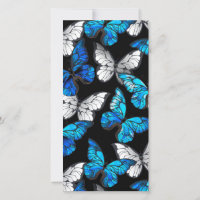 Motif sans couleur foncée avec papillons bleus Mor