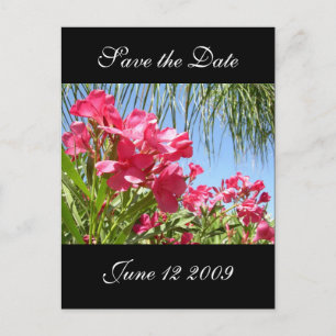 Save the Date Oleander Post Card Ankündigungspostkarte