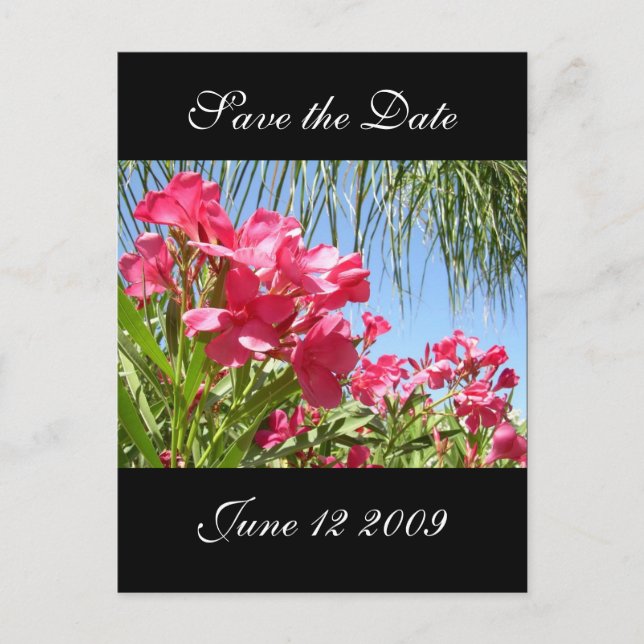 Save the Date Oleander Post Card Ankündigungspostkarte (Vorderseite)