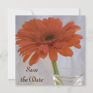 Save The Date Orange Daisy Wedding Enregistrer la date Faire-par