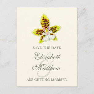 Save the Date Orchidee auf Postkarte