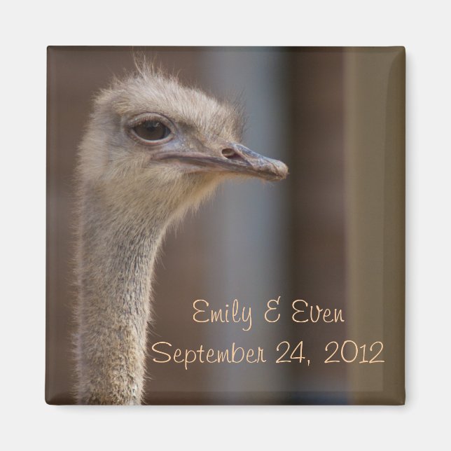 Save the Date Ostrich Foto Magnet (Vorne)