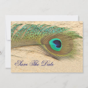 Save The Date paon cobalt bleu turquoise Enregistrer la date