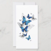 Papillons volants bleus Morpho