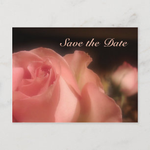 Save the Date - Peach Rose Postkarte