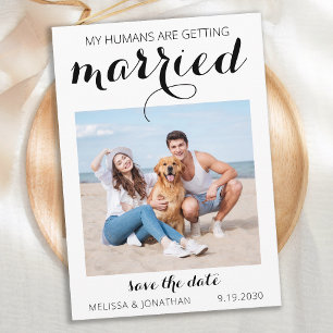 Save The Date Personnalisé Mariage animal de compagnie Simple Ch