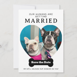 Save The Date Photo Drôle De Chien Nos Humains Se Marient