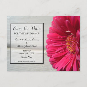 Save the Date Pink Daisy Postcard Ankündigungspostkarte