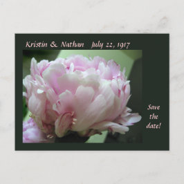 Save the Date Pink Peony Wedding Postcard Ankündigungspostkarte