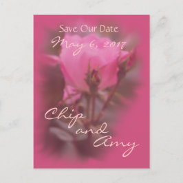 Save the Date Pk Knockout-Rose Ankündigungspostkarte