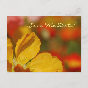 Save the Date Poppy Postkarte