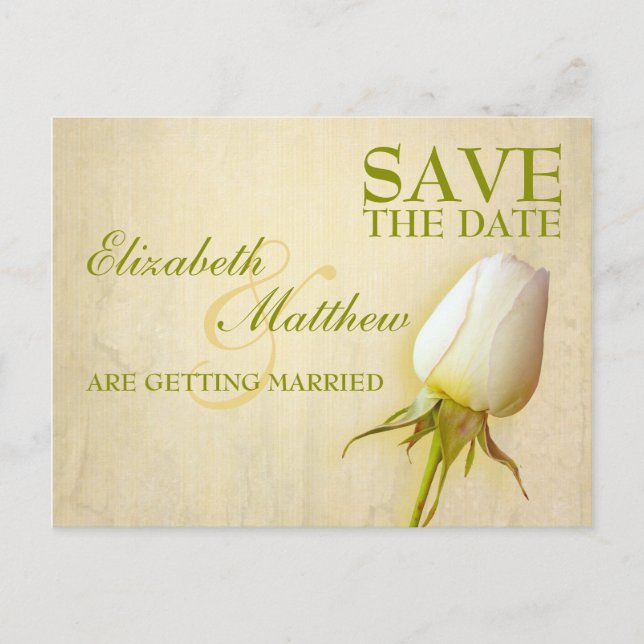Save the Date Postcard Single White Rose Bud Ankündigungspostkarte (Vorderseite)