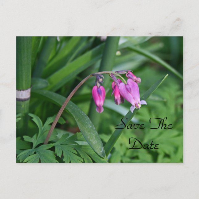 Save the Date Postkarte (Vorderseite)