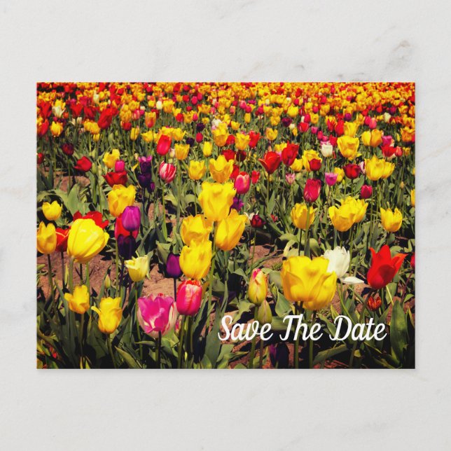 Save the Date Postkarte (Vorderseite)