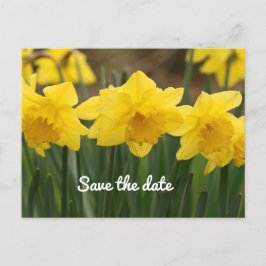 Save the Date Postkarte
