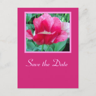Save the Date - Postkarte