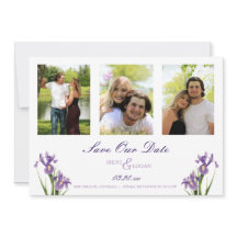 Purple Iris Garden Photo Enregistrer la date