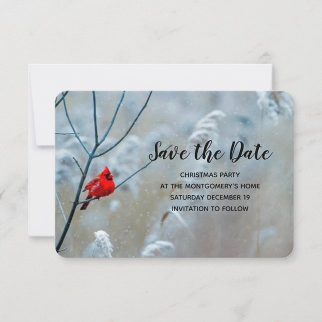 Save The Date Red Cardinal dans Winter Nature Photo de Christmas (Devant)