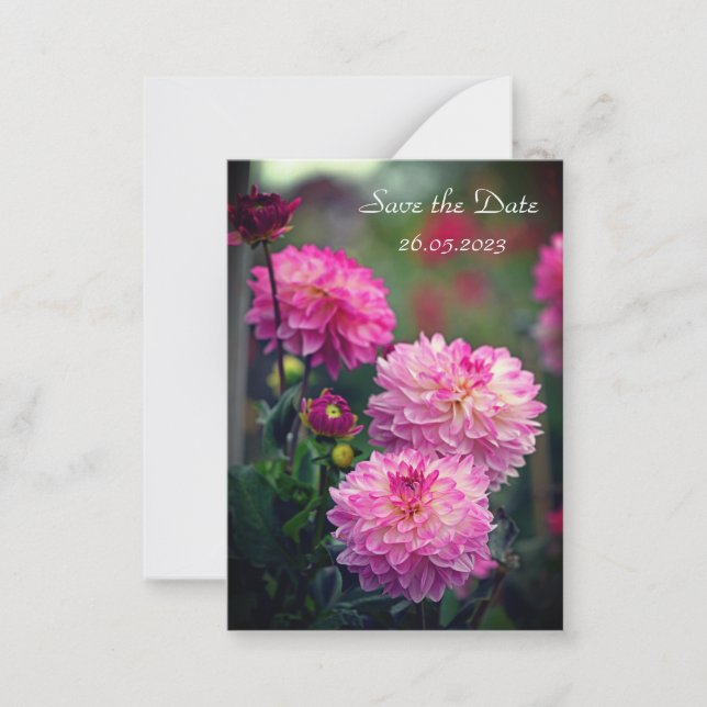 Save the Date rosa und weiße Dahlia-Blume Mitteilungskarte (Vorderseite)