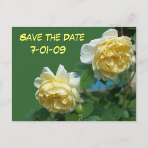Save the Date Rose Blume Foto Postkarte