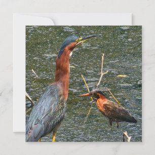 Save The Date Sac réutilisable pour épicerie Green Heron