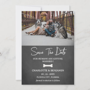 Save The Date Thème Photo Chien personnalisé Moderne