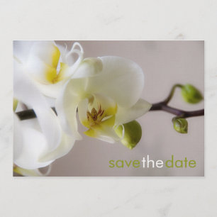 Save The Date Weiße Orchidee • Faites gagner la date Karte