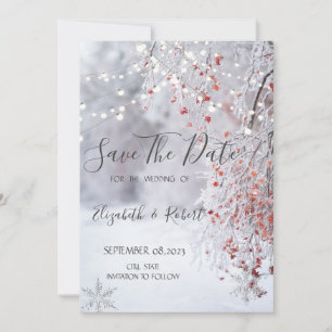 Save The Date Winter Wonderland, Chaîne De Neige Lumières Enregi