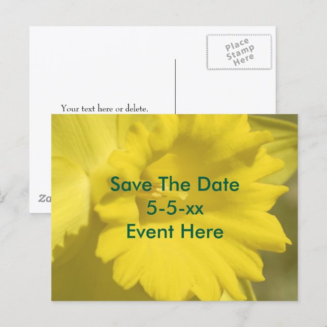 Save The Date Yellow Daffodil Flower  Ankündigungspostkarte (Vorne/Hinten)