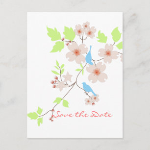 Save the Date zwei Blauvögel Ankündigungspostkarte