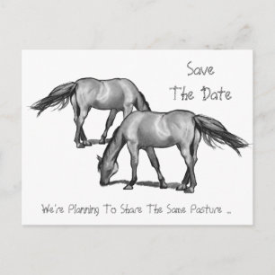 Save the Date: Zwei Pferde: Erhalten Hitched Ankündigungspostkarte