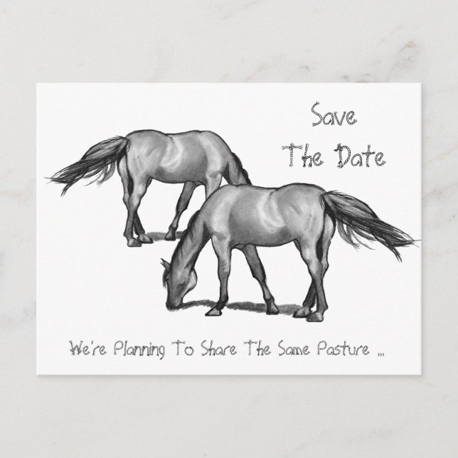 Save the Date: Zwei Pferde: Hitched Ankündigungspostkarte (Vorderseite)