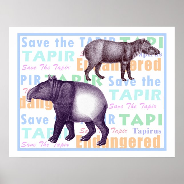 Save the Tapir Poster - American & Asian Tapirs (Vorne)