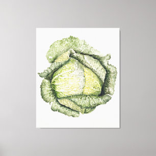 Savoy Cabbage Leinwanddruck