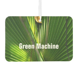 Saw Palmetto und Leaf Autolufterfrischer