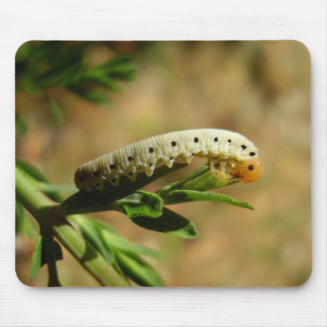 Sawfly Larvae Mouse Mat Mousepad (Vorne)