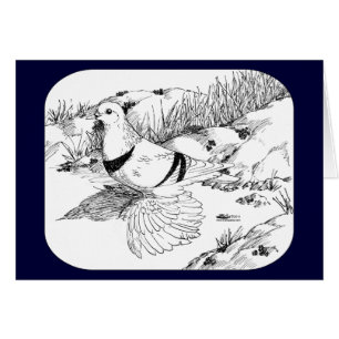 Saxon Crescent-Taube 1973