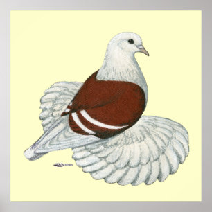 Saxon Shield Taube Red White Bar Poster