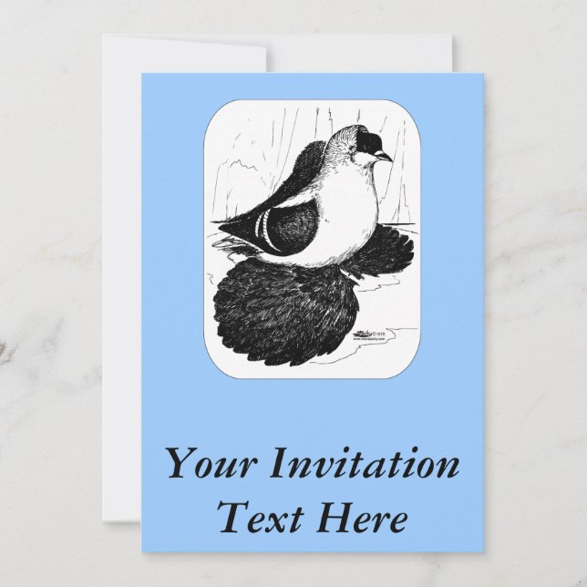 Saxon Swallow Taube 1978 Einladung (Vorderseite)