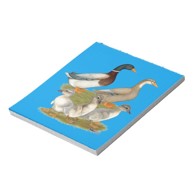 Saxony Duck Family Notizblock (Rotiert)