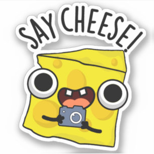 Say Cheese Funny Fotograf Pun Aufkleber