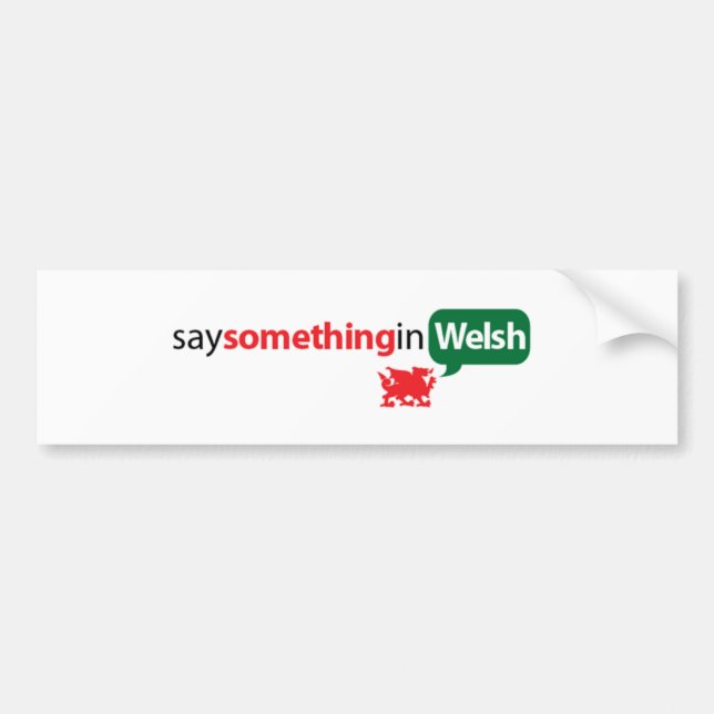 SaySomethinginWelsh Autoaufkleber (Vorne)