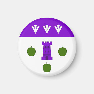 SCA Caer Gelynniog Magnet