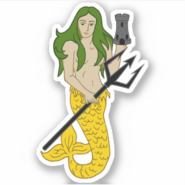 SCA Illiton Custom-Cut Vinyl Sticker (Vorderseite)