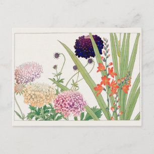 Scabiosa, Montbretia, Tanigami Konan Postkarte