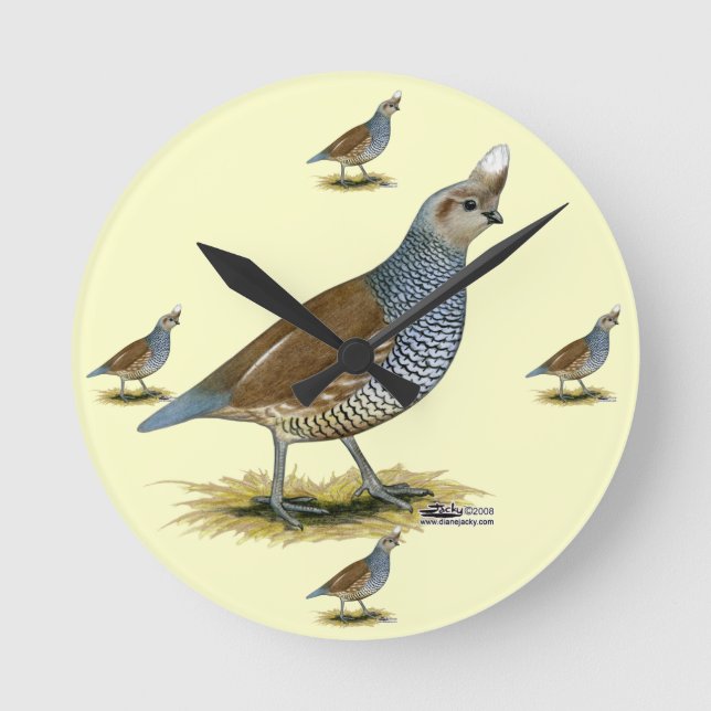 Scaled Quail Runde Wanduhr (Vorderseite)