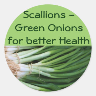 Scallions/grüne Zwiebeln Runder Aufkleber
