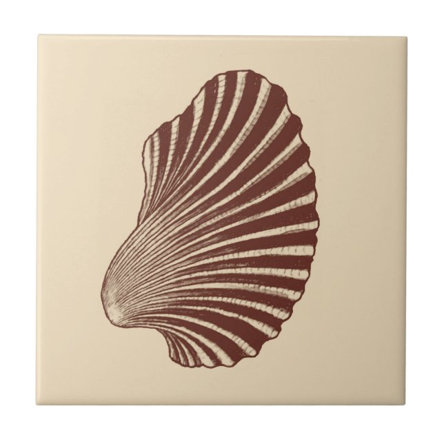 Scallop Muschel Blockdruck, Brauntöne und Beige Ce Fliese (Vorderseite)