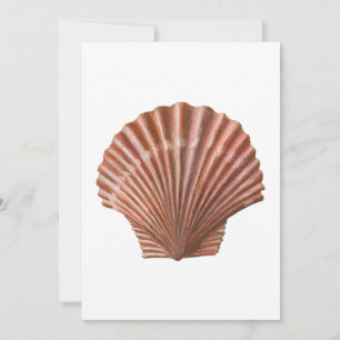 Scallop-Muschel Einladung